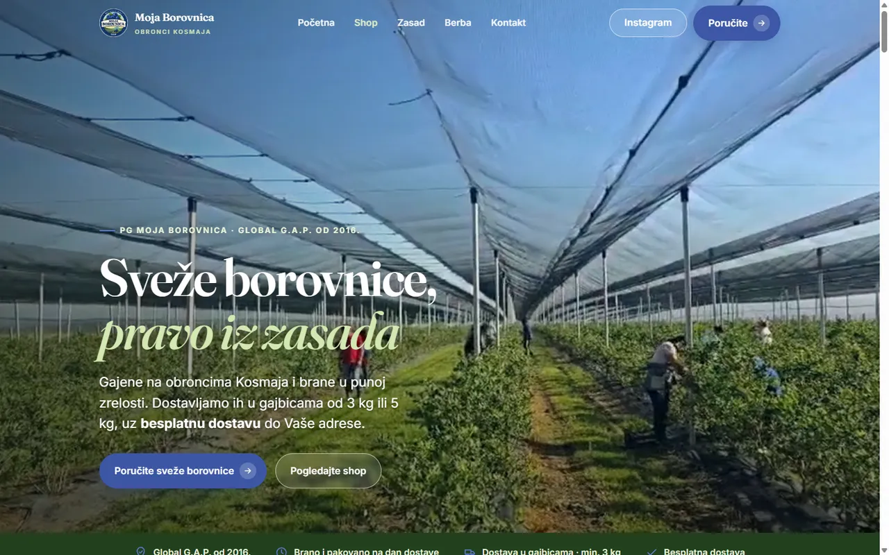 Moja Borovnica — naslovna strana sajta