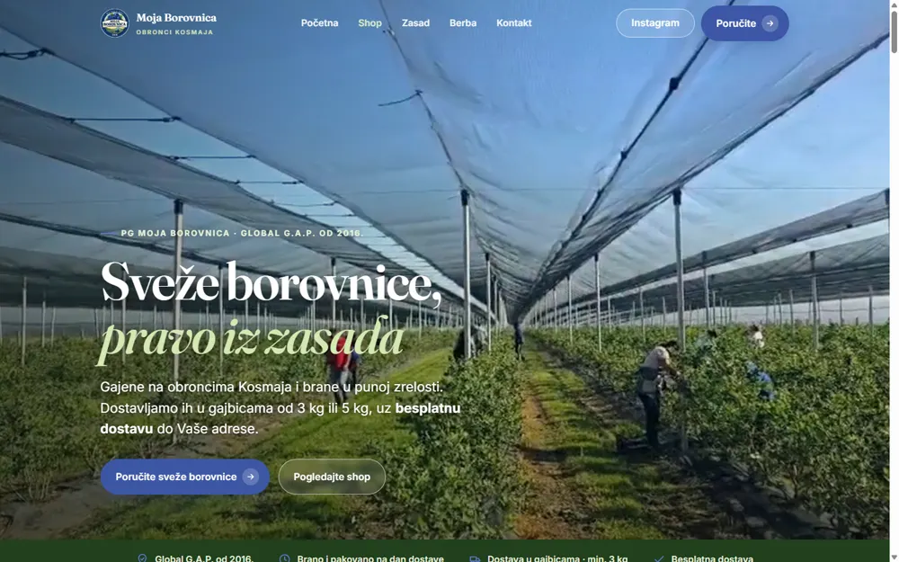Naslovna strana sajta Moja Borovnica — sveže borovnice i dostava
